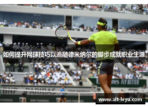 如何提升网球技巧以追随德米纳尔的脚步成就职业生涯