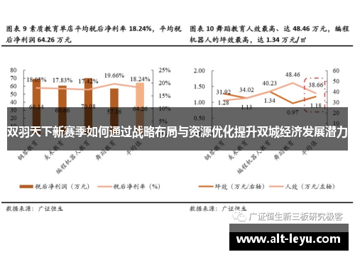 双羽天下新赛季如何通过战略布局与资源优化提升双城经济发展潜力