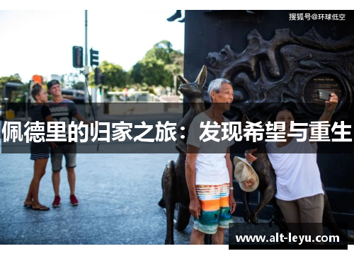 佩德里的归家之旅：发现希望与重生