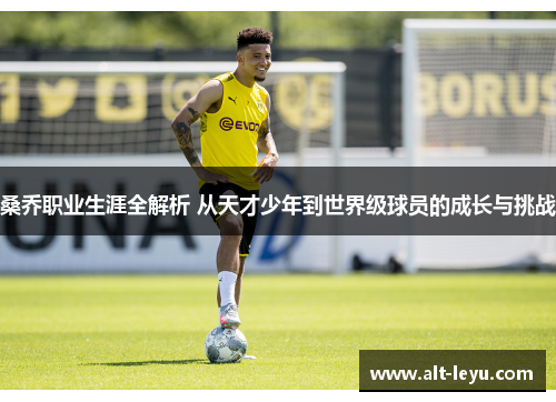 桑乔职业生涯全解析 从天才少年到世界级球员的成长与挑战