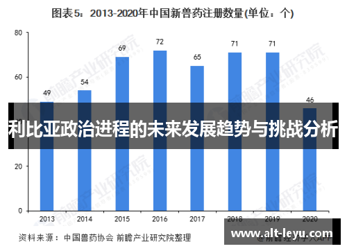 利比亚政治进程的未来发展趋势与挑战分析