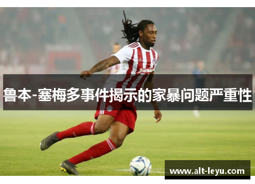 鲁本-塞梅多事件揭示的家暴问题严重性